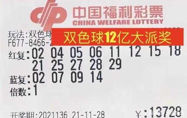 新奧彩資料無償分享，精選解析版RQU971.43推薦