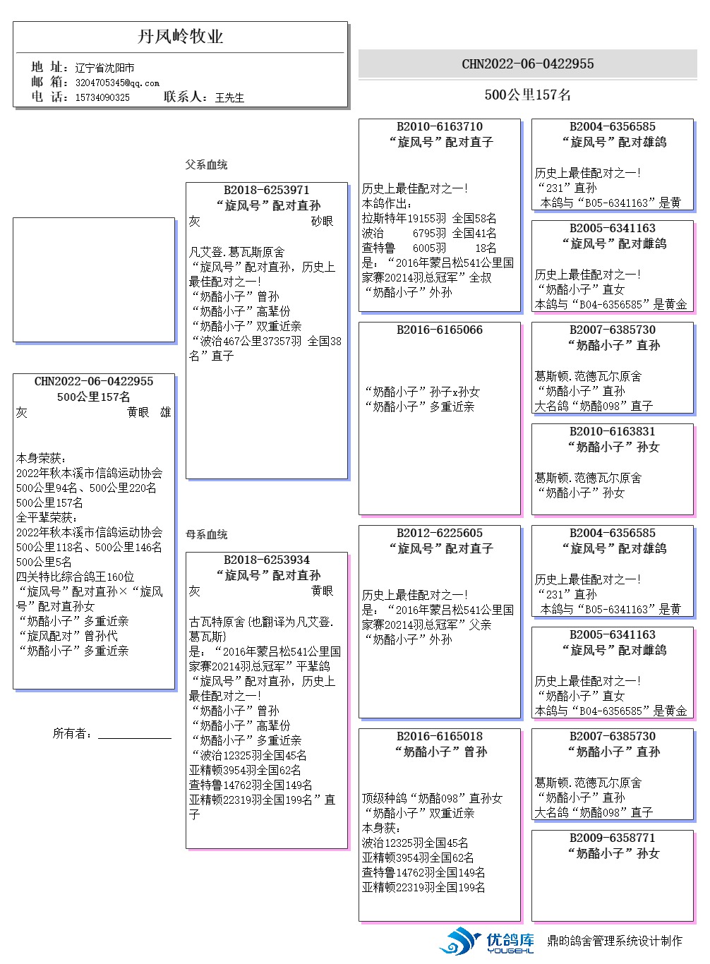 “鳳凰管家婆7777788888：贏家揭曉，原創(chuàng)VWY286.09版”