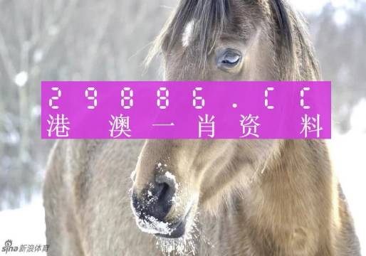 澳門一肖一碼100%準(zhǔn)確,＊＊2.1 設(shè)定預(yù)算＊＊