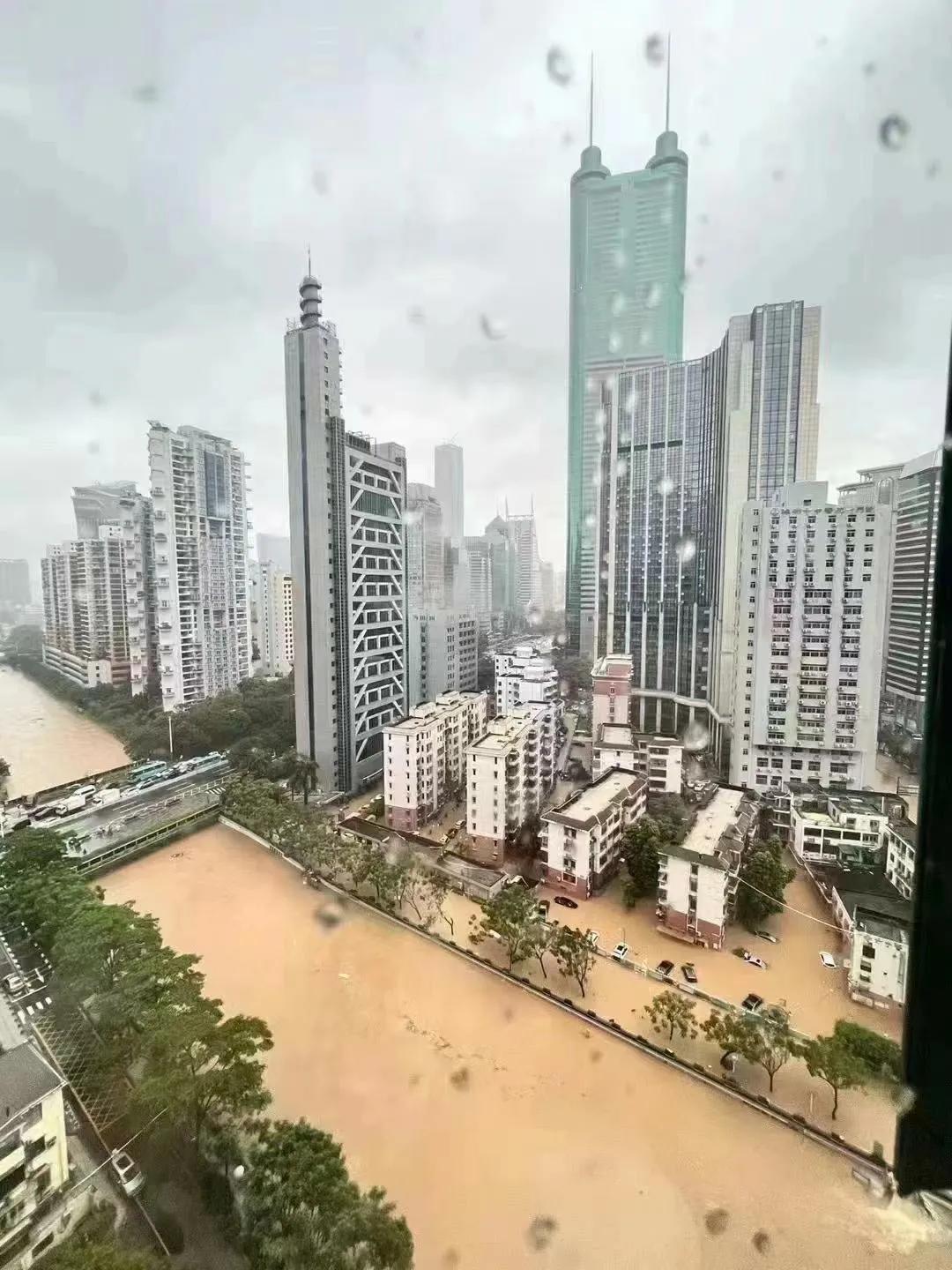 深圳最新概況概覽