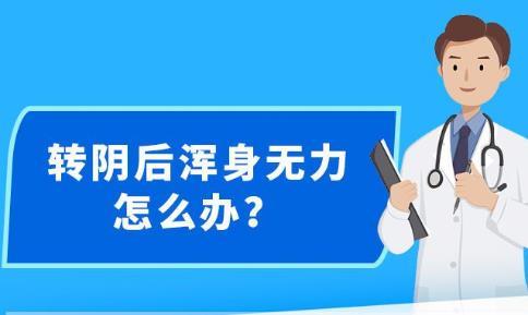 新澳精準資料大全免費,效率資料解釋落實_WearOS46.354