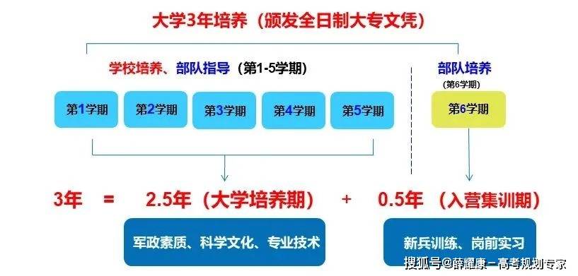 2024新澳精準(zhǔn)資料大全,數(shù)據(jù)驅(qū)動(dòng)方案實(shí)施_vShop99.679