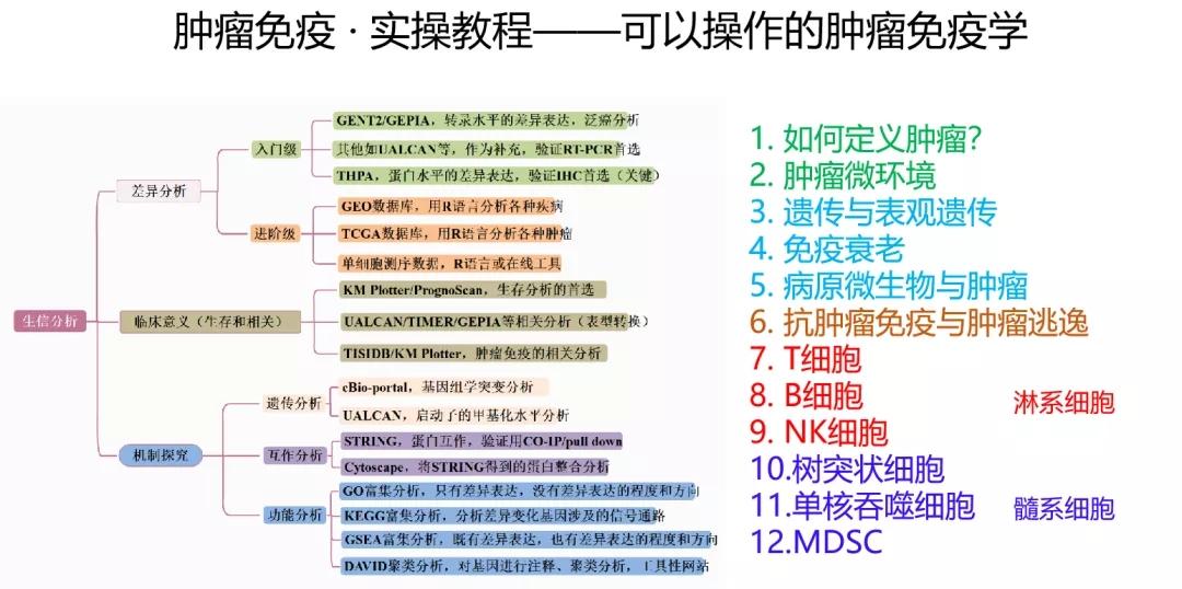 2024年正版資料免費(fèi)大全一肖,最新核心解答落實(shí)_N版38.93.75