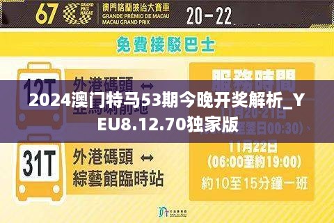 今晚澳門特馬開什么,最新解答解析說明_工具版37.15