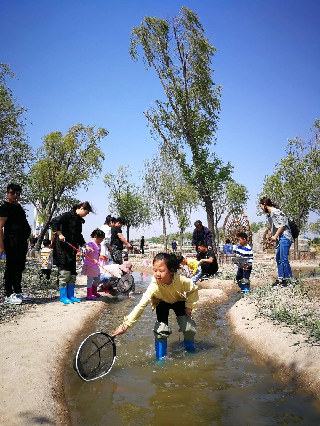 時空特戰(zhàn)隊，跨越時空的冒險之旅在線觀看