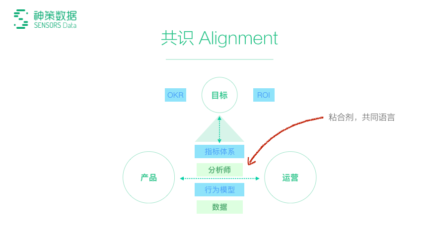 新澳天天精資科大全,數(shù)據(jù)驅(qū)動(dòng)執(zhí)行設(shè)計(jì)_定制版89.515