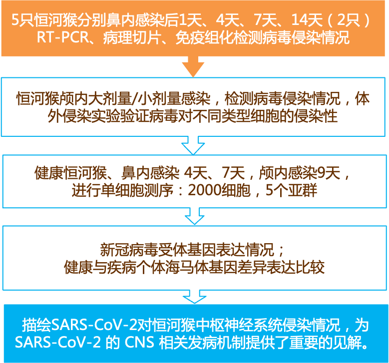 2024新奧免費資料,決策資料解釋落實_頂級版16.667