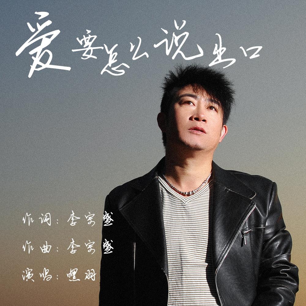 愛要怎么說出口，歌曲下載中的情感領(lǐng)悟與表達(dá)之道